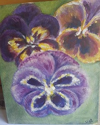 pansies