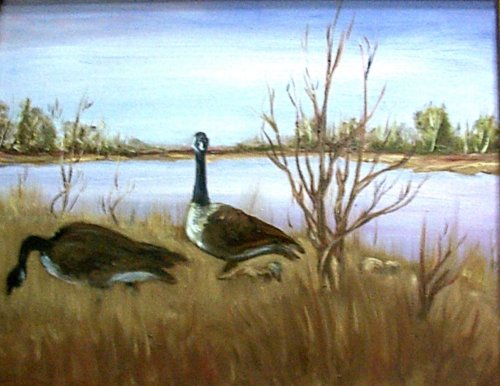 geese pair